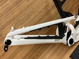 Rocky Mountain Altitude Carbon 2025 Rahmen Gr. L 29" blau / weiß
