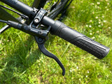 Rocky Mountain Growler 50 Brown / Grey Gr. S Komplettbike