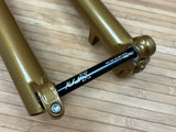 FOX 36 Casting / Lower Podium 2025 GOLD 29"
