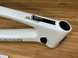 Rocky Mountain Element Carbon 2025 Rahmen Gr. L white grey 29"